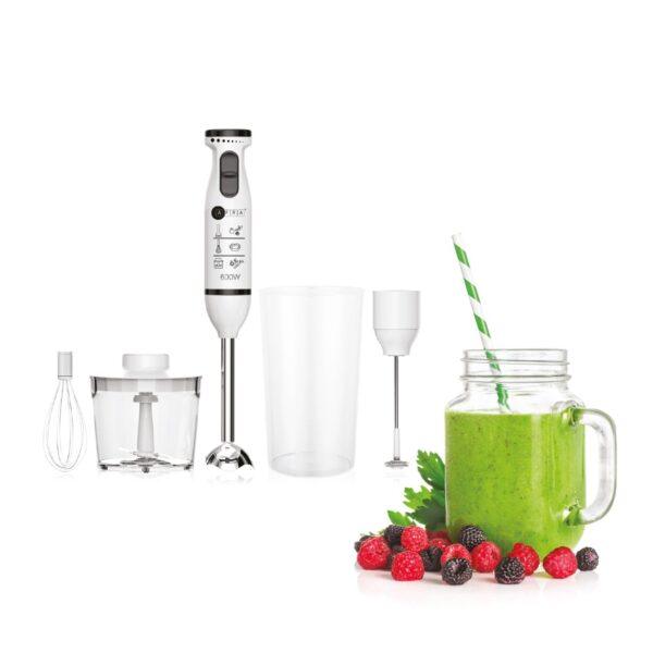 AFRA 5-in-1 Hand Blender 600W – Japanese Technology, Chopper, Whisk, Cup – AF-14600BLCR - Image 3